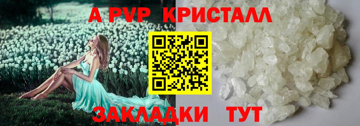 Альфа ПВП СК КРИС Дербент