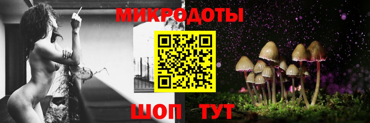 Псилоцибиновые грибы Psilocybine cubensis  Вход с VPN  Дербент 